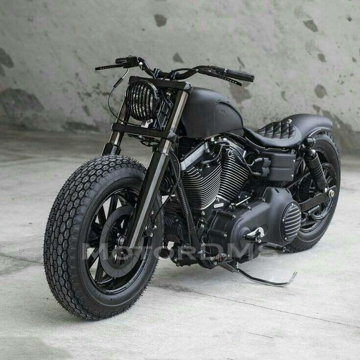 450877537_1203530110661880_5511116201277619319_n